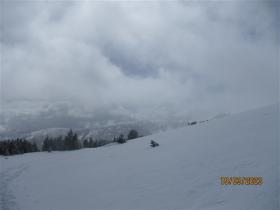 photo coins arrondis